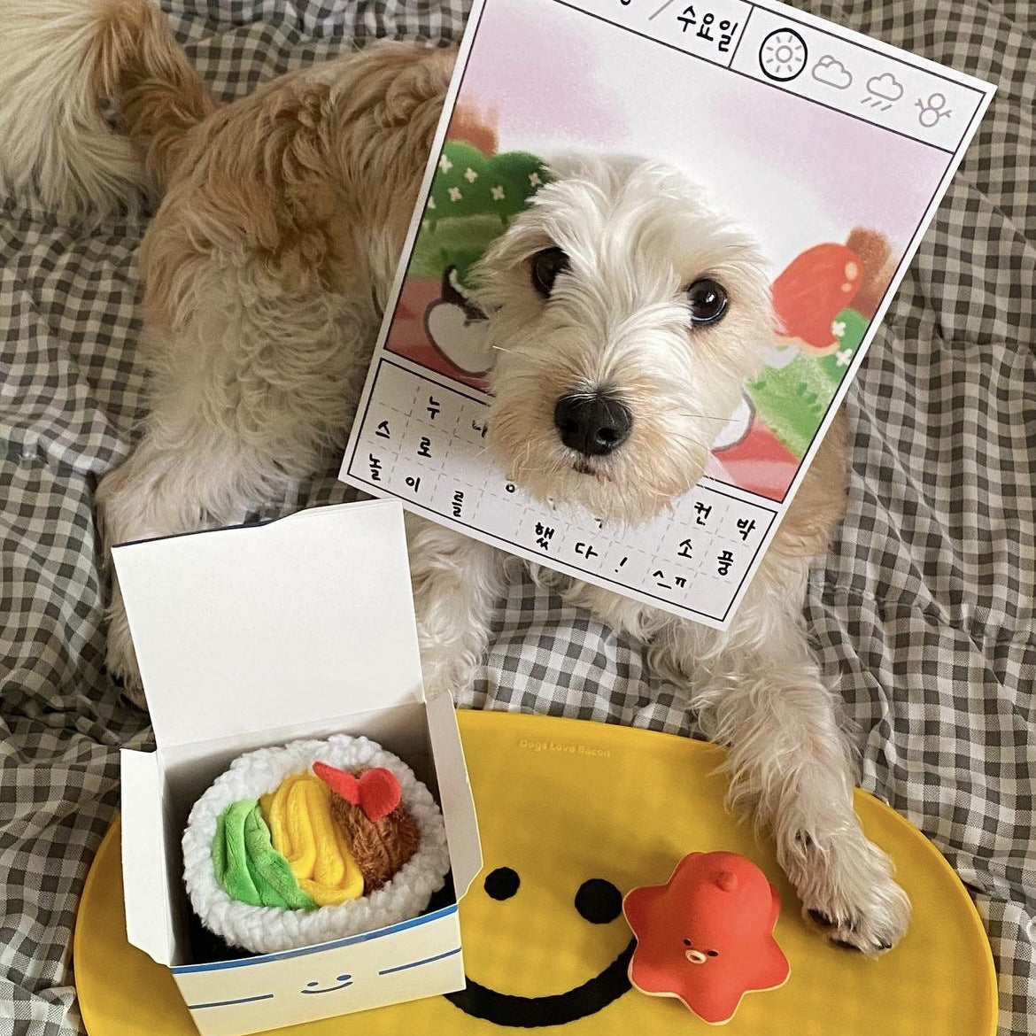 Kawaii Sushi Roll Snuffle Toy