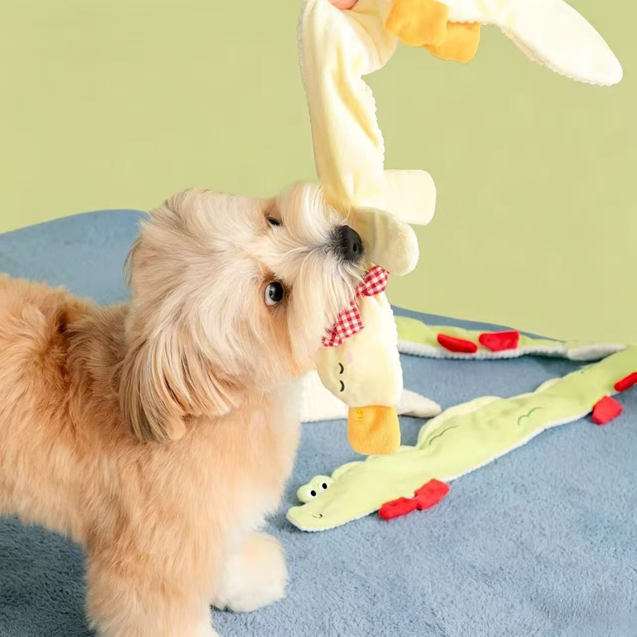 Long Crocodile &amp; Duck Crinkle Toy